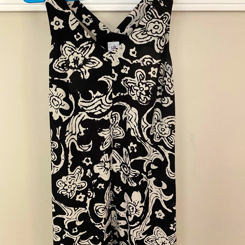 CAbi racetrack dress